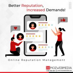 Online Reputation Management Company Chicago