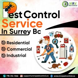 Pest Control Service in Surrey BC