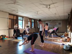 Best Yoga Teacher Training in Rishikesh