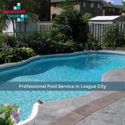 Professional Pool Service in League City