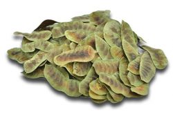 Senna Pods Supplier in India – Sanayindustries.com