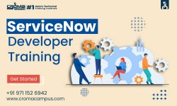 ServiceNow Developer Training in Gurgaon