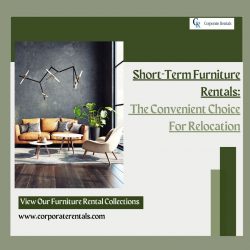 Short-Term Furniture Rentals: The Convenient Choice For Relocation