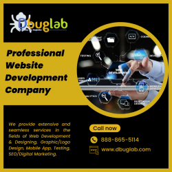 Top Professional Website Development Company – United States