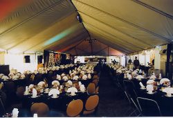 Birthday Party Tent Rentals In Houston