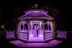 Miami Wedding Photographer