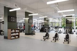 Find The Best Gyms In Montreal CA