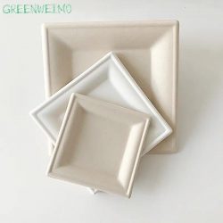 Square Shape Sugarcane Plate