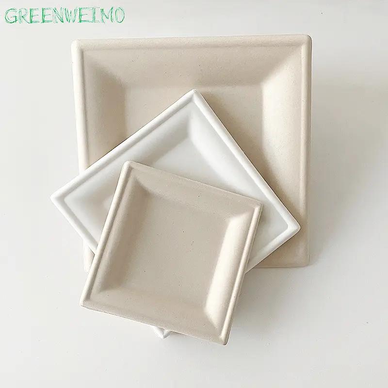 Square Shape Sugarcane Plate