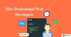 Hire Professional Web Developers