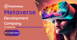 Metaverse Development Company