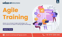 Agile Training in Noida