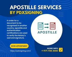 Apostille Services