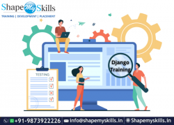 Best Placement – Django Training in Noida | ShapeMySkills