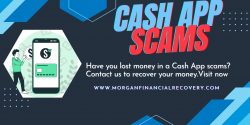 We will help you recover your funds if you are a Ponzi scam victim.