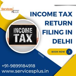 Income Tax Return Filing In Delhi