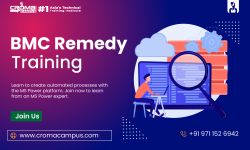 BMC Remedy Training Institute in Delhi