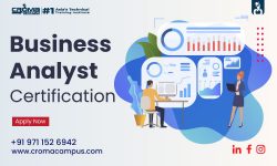 Business Analyst Online Training