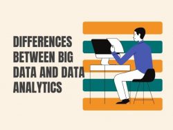 Differences Between Big Data and Data Analytics