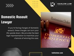 Domestic Assault Lawyer