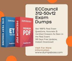 The Long-Term Consequences of Using ECCouncil Exam Dumps