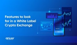 Develop A Crypto White Label Exchange To Save Your Time & Efforts