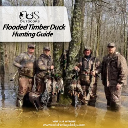 Flooded Timber Duck Hunting Guide