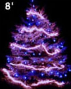 Get the best Christmas Light Installation in San FransicoByGreenforce Outdoor light