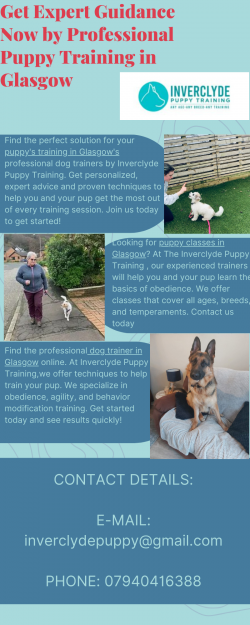 Professional Puppy Training in Glasgow Experts In Dog Behaviour