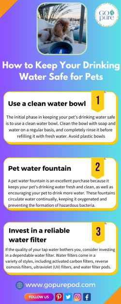 How to Keep Your Drinking Water Safe for Pets