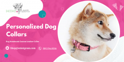 Handmade and Fashionable Pet Collars