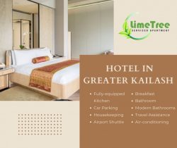 Hotel in Greater Kailash | Lime tree