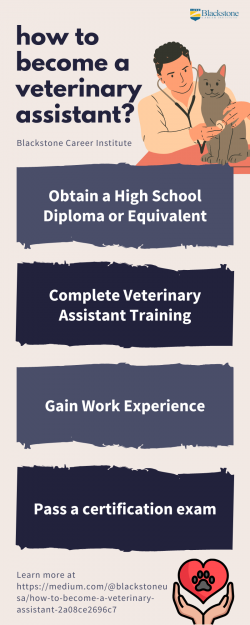 How to Become a Veterinary Assistant?