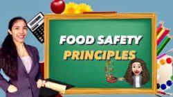 HACCP Plan Principles