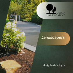 Elevate Your Outdoor Living Space with Edmonton’s Landscapers