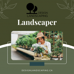 Get Your Dream Yard with Edmonton’s Skilled Landscaper