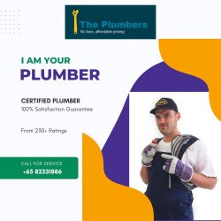 Licensed Plumber in Singapore