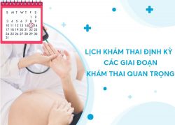 Khám sàng lọc trước sinh là gì: Tầm quan trọng, chi phí khám