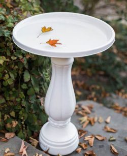 Pure white marble birdbath