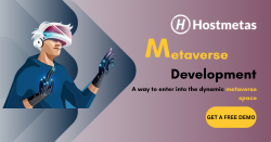 Metaverse Development Company