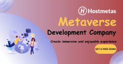 Metaverse Development Company