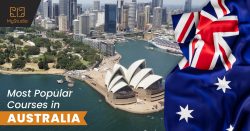 Most popular courses in Australia – MyStudia