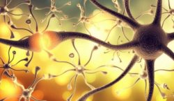 HOW TO DECREASE NERVE DAMAGE THROUGH STEM CELL THERAPY