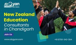 Top 3 UG Courses to Study in New Zealand After 12th