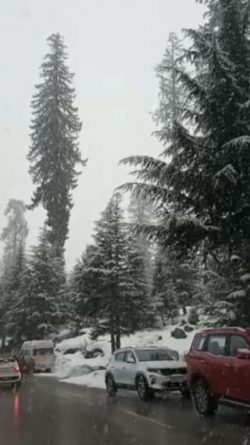 Chandigarh to Manali Cabs