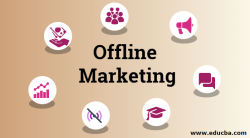 Offline Marketing Strategies