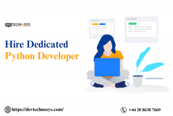 Hire Dedicated Python Developers