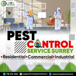 Pest control service surrey