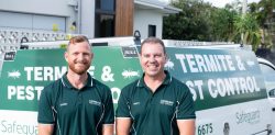 Termite Treatment Sunshine Coast