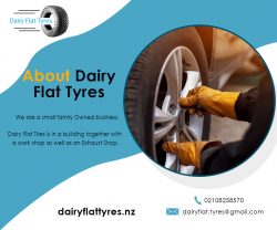 The widest collection of Dairy Flat Tyres